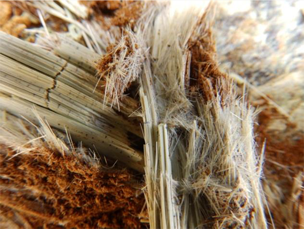 Antigorite (Nouvelle-Calédonie - BRGM)